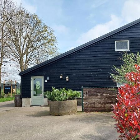 Bed&Breakfast 't Boerenhart Duizel Eksteriør billede