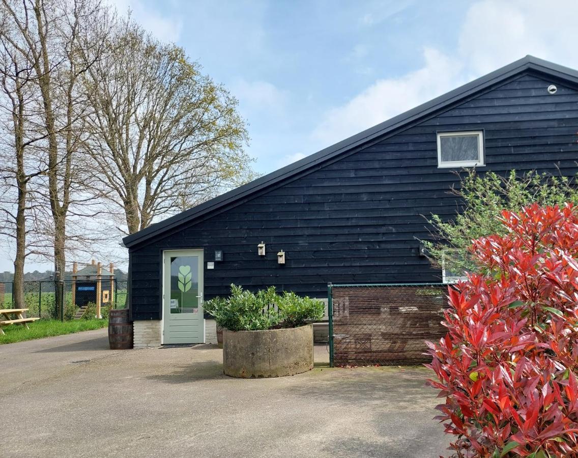 Bed&Breakfast 't Boerenhart Duizel Eksteriør billede